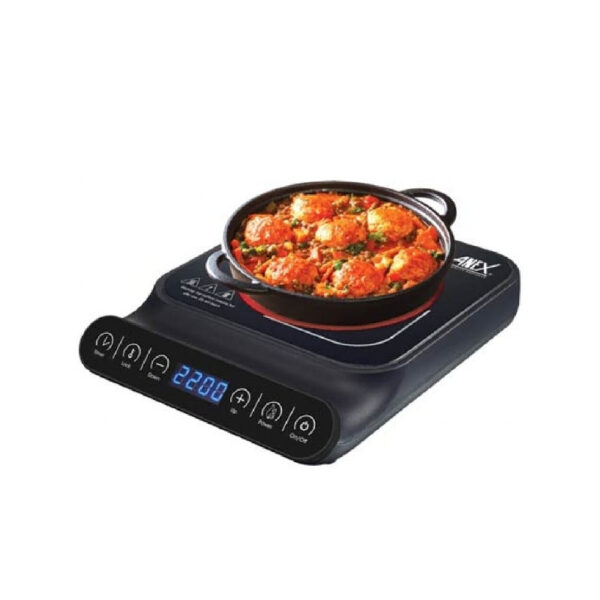 Anex AG-2166 Deluxe Hot Plate