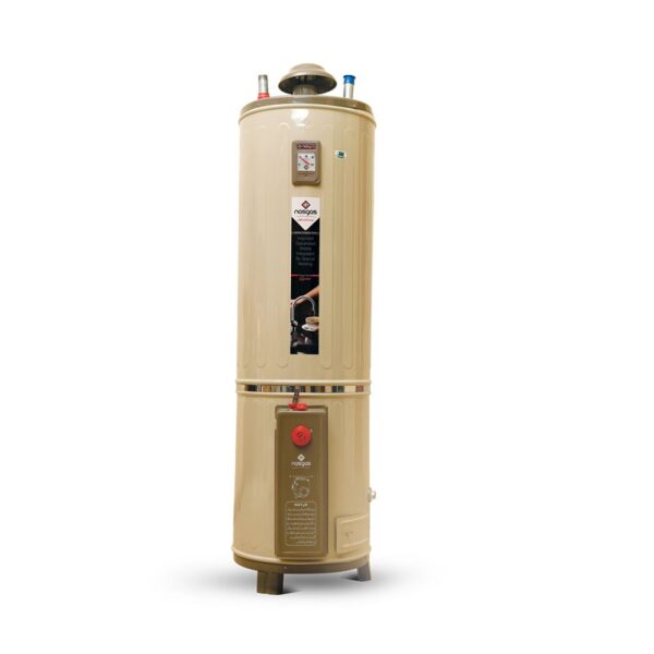 Nasgas DG-55 55L Super DLX Heavy Gas and Storage Geyser