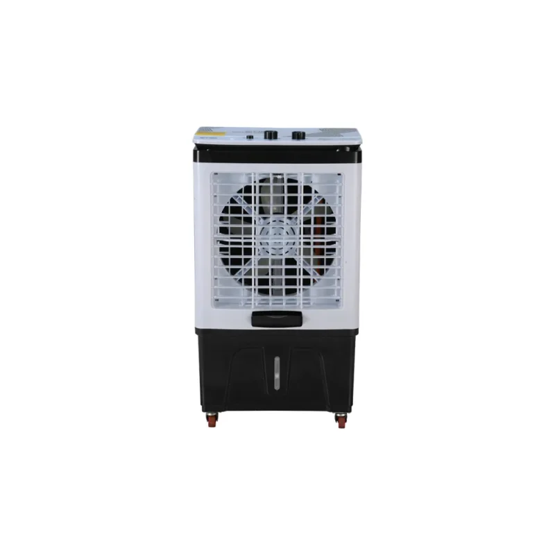 Nasgas NAC-2200 40L Room Air Cooler with 3 Ice Packs (DC 12V)