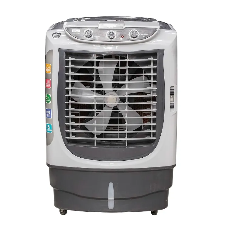 Rays RC-1125 110 Liters Room Air Cooler With 6 Ice Packs
